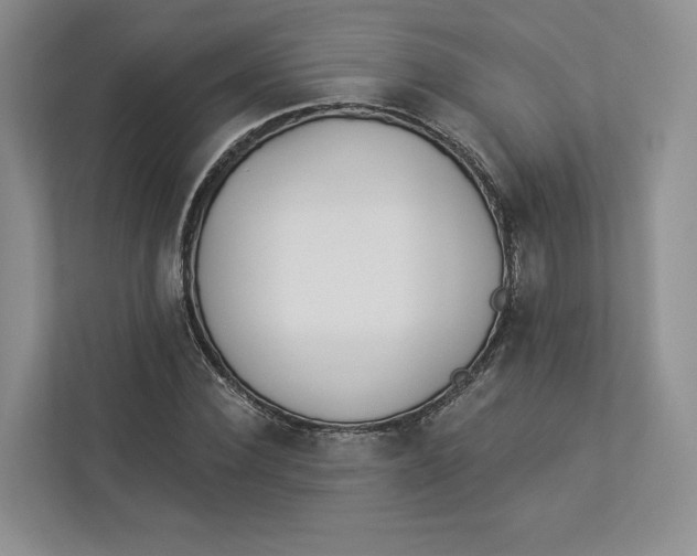 X0000112940924200909141344