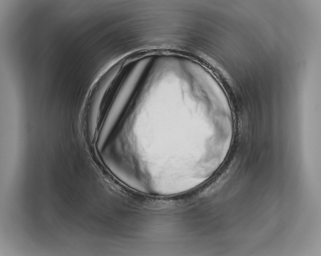 X0000112940925200909141344