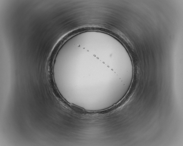 X0000112940926200909141344