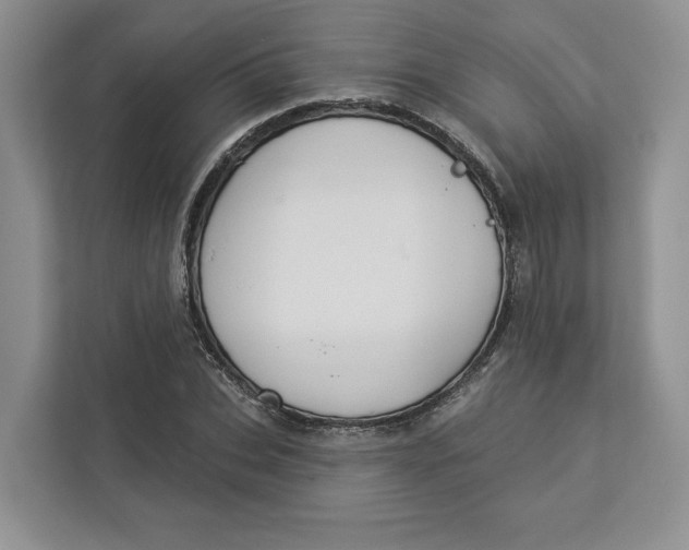 X0000112940927200909141344