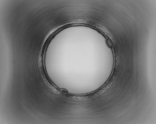 X0000112940928200909141344