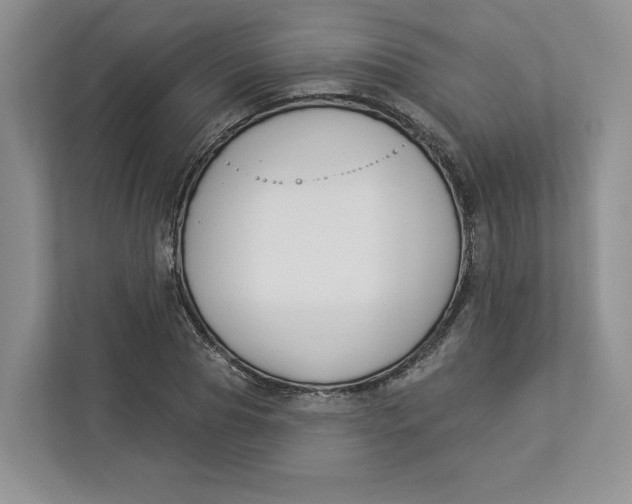 X0000112940929200909141344