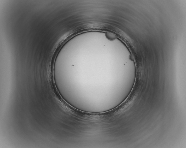 X0000112940930200909141344