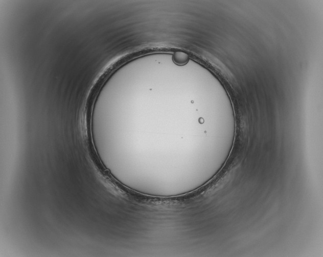 X0000112940934200909141344