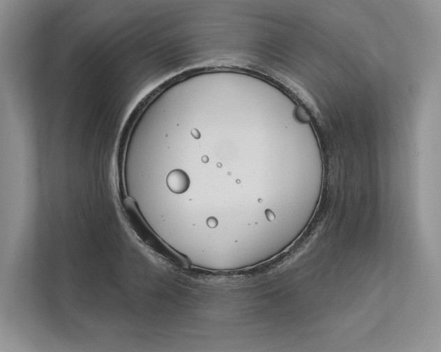 X0000112940936200909141344