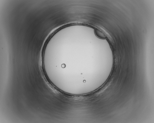 X0000112940940200909141344