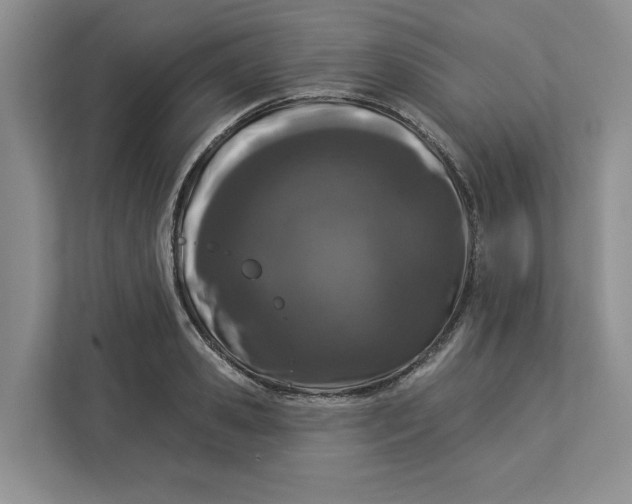 X0000112940941200909141344