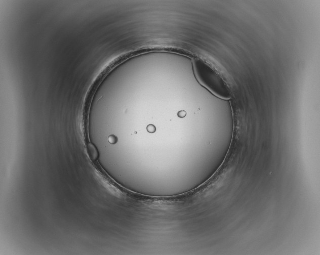 X0000112940942200909141344