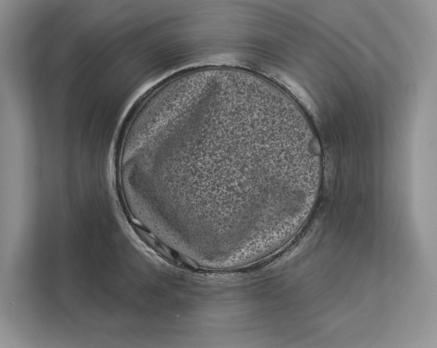 X0000112940944200909141344