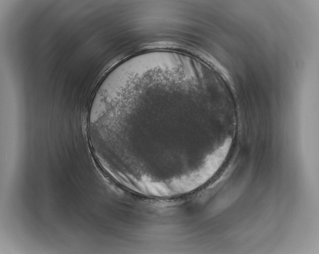 X0000112940945200909141344