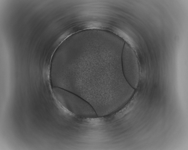 X0000112940946200909141344