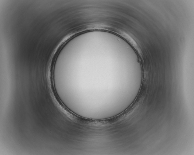 X0000112940947200909141344