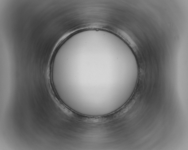 X0000112940948200909141344