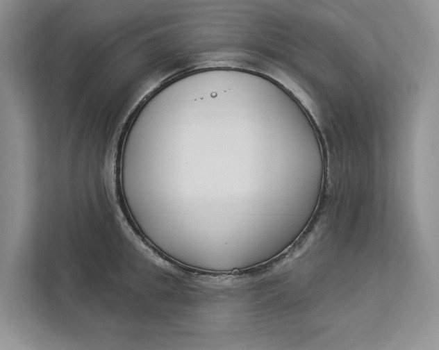 X0000112940949200909141344