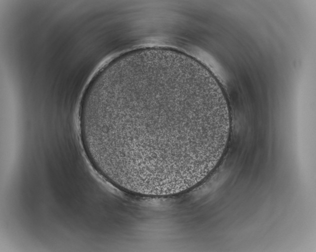 X0000112940950200909141344