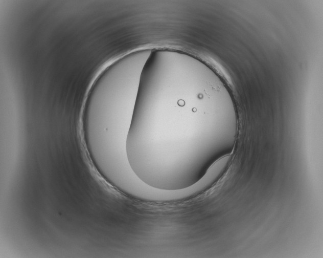 X0000112940952200909141344