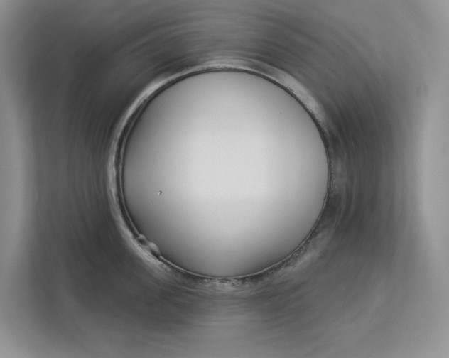 X0000112940955200909141344