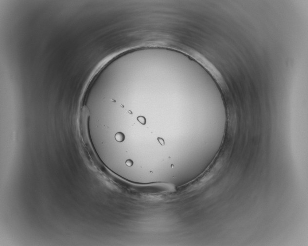 X0000112940956200909141344