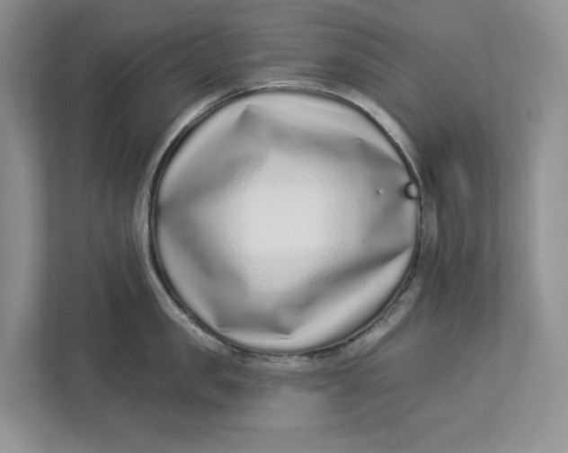 X0000112940957200909141344