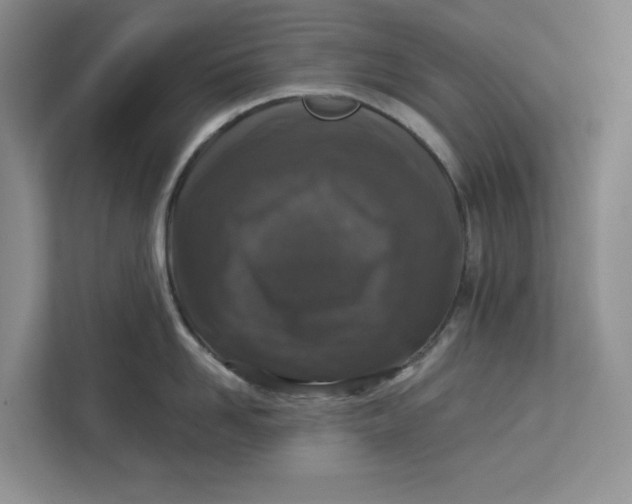 X0000112940958200909141344