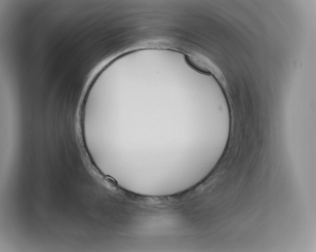 X0000112940960200909141344