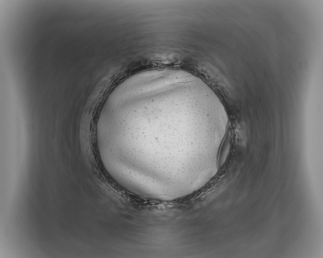 X0000112940961200909141344