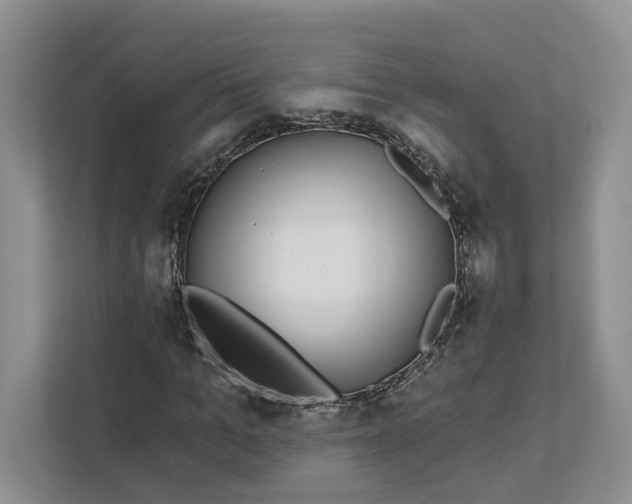 X0000112940965200909141344