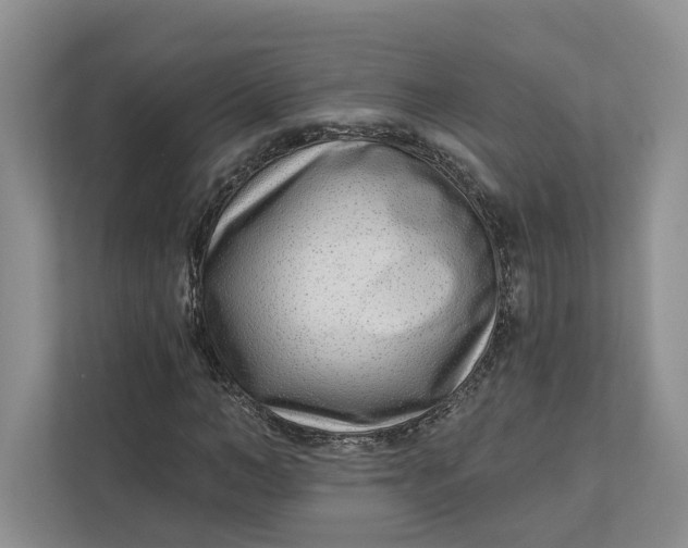 X0000112940966200909141344