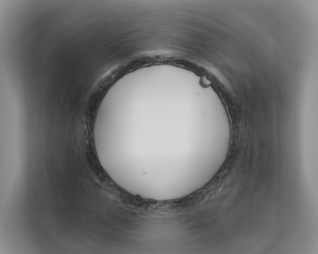 X0000112940967200909141344