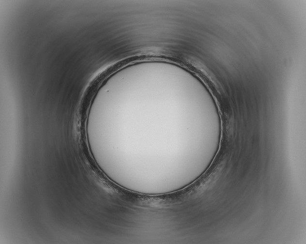 X0000112940971200909141344