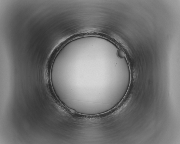 X0000112940973200909141344