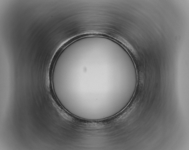 X0000112940980200909141343