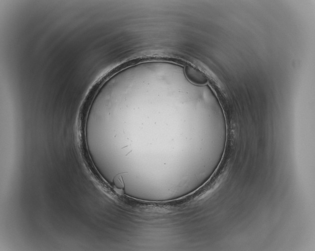 X0000112940981200909141343