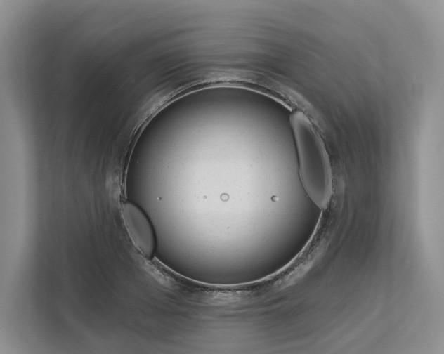 X0000112940985200909141343