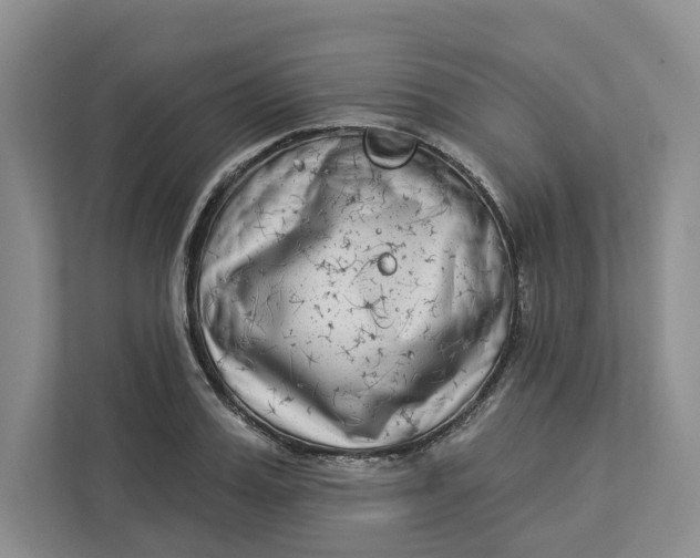 X0000112940987200909141343