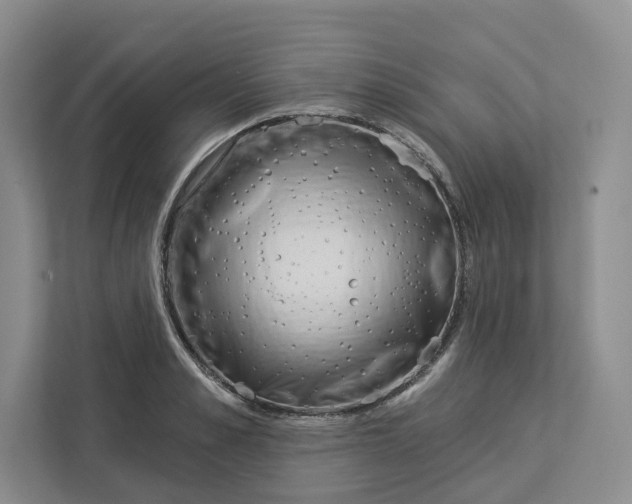 X0000112940989200909141343