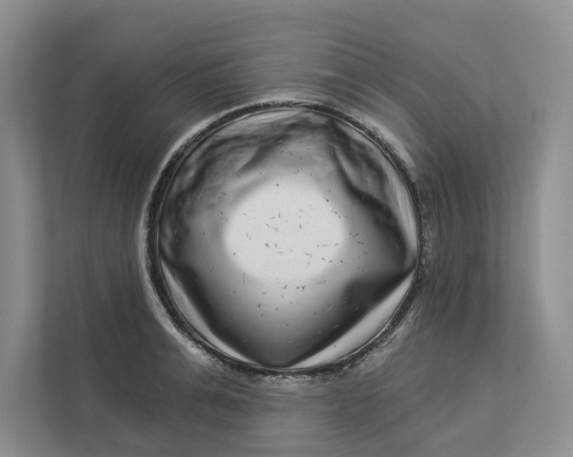 X0000112940991200909141343