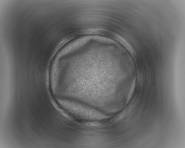 X0000112940994200909141343