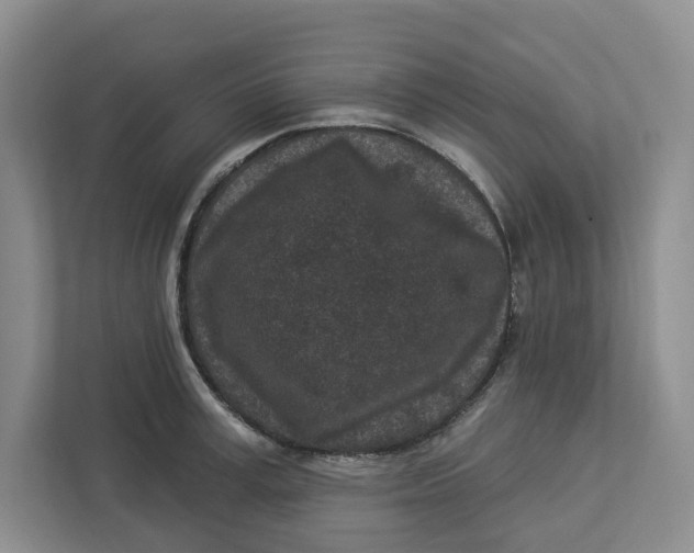 X0000112940995200909141343