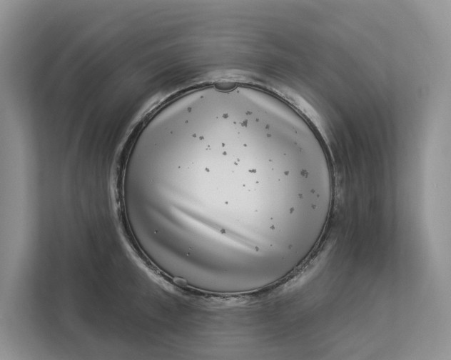 X0000112940997200909141343