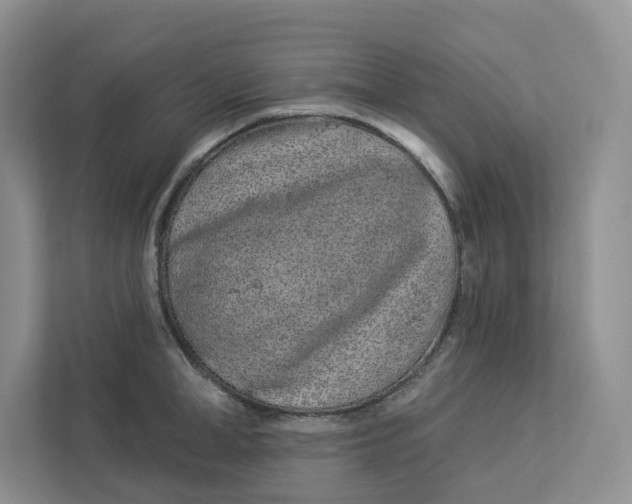 X0000112940998200909141343