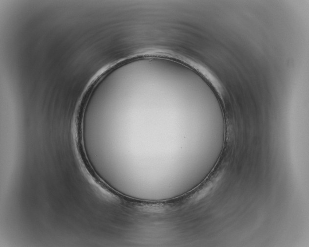 X0000112940999200909141343