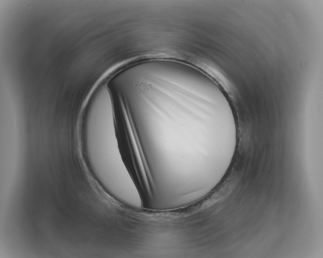 X0000112941000200909141343