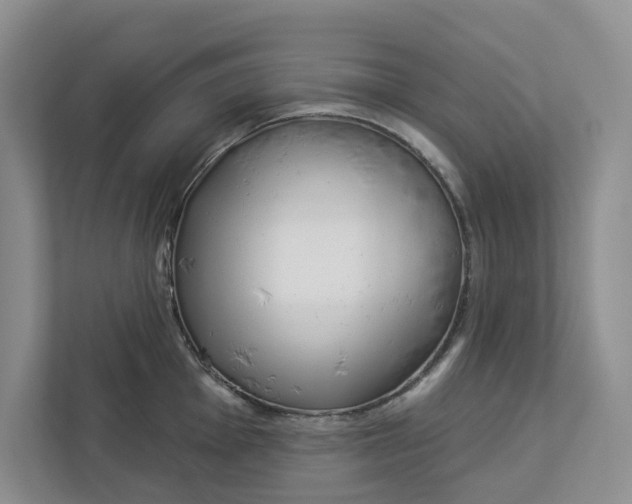 X0000112941001200909141343