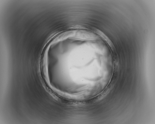 X0000112941002200909141343