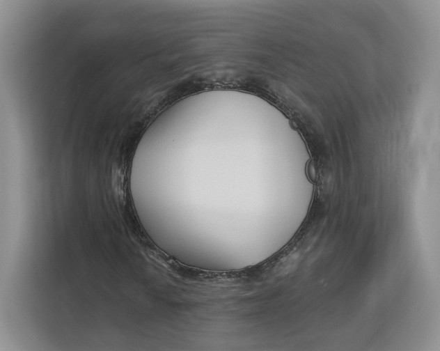 X0000112941010200909141342