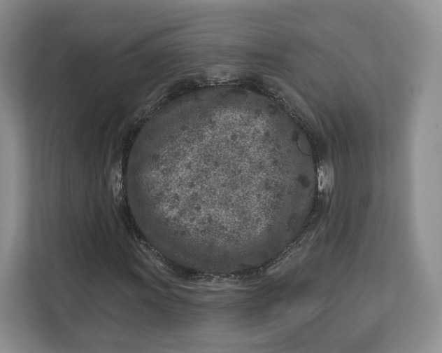 X0000112941011200909141342