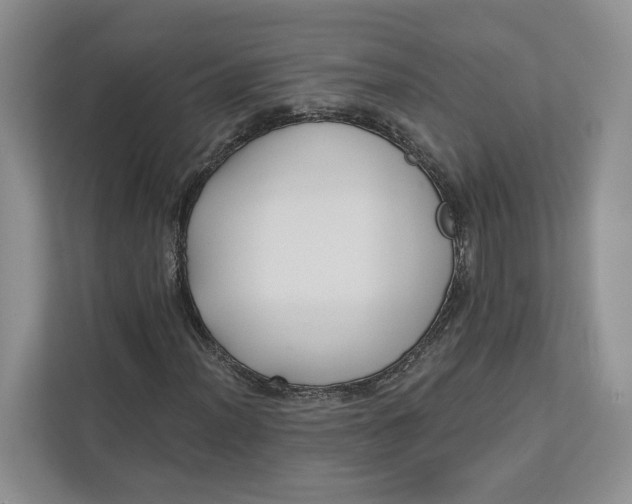 X0000112941012200909141342