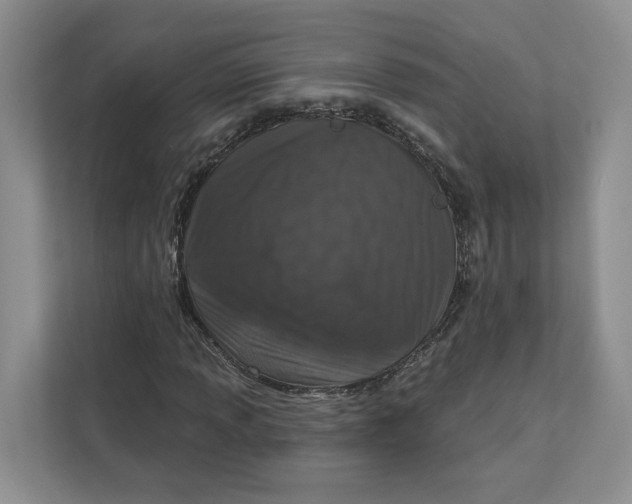 X0000112941013200909141342