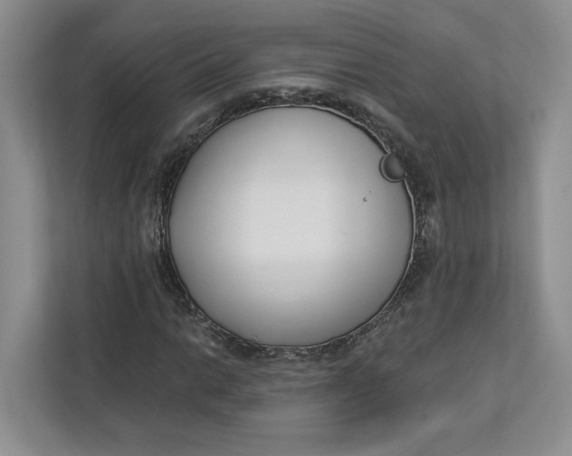 X0000112941014200909141342